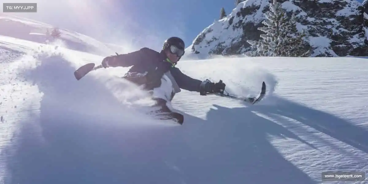 为什么选择我们